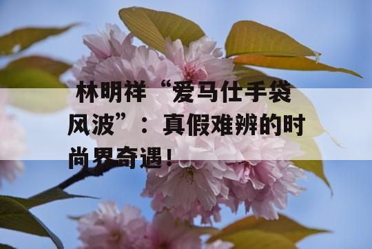  林明祥“爱马仕手袋风波”：真假难辨的时尚界奇遇！